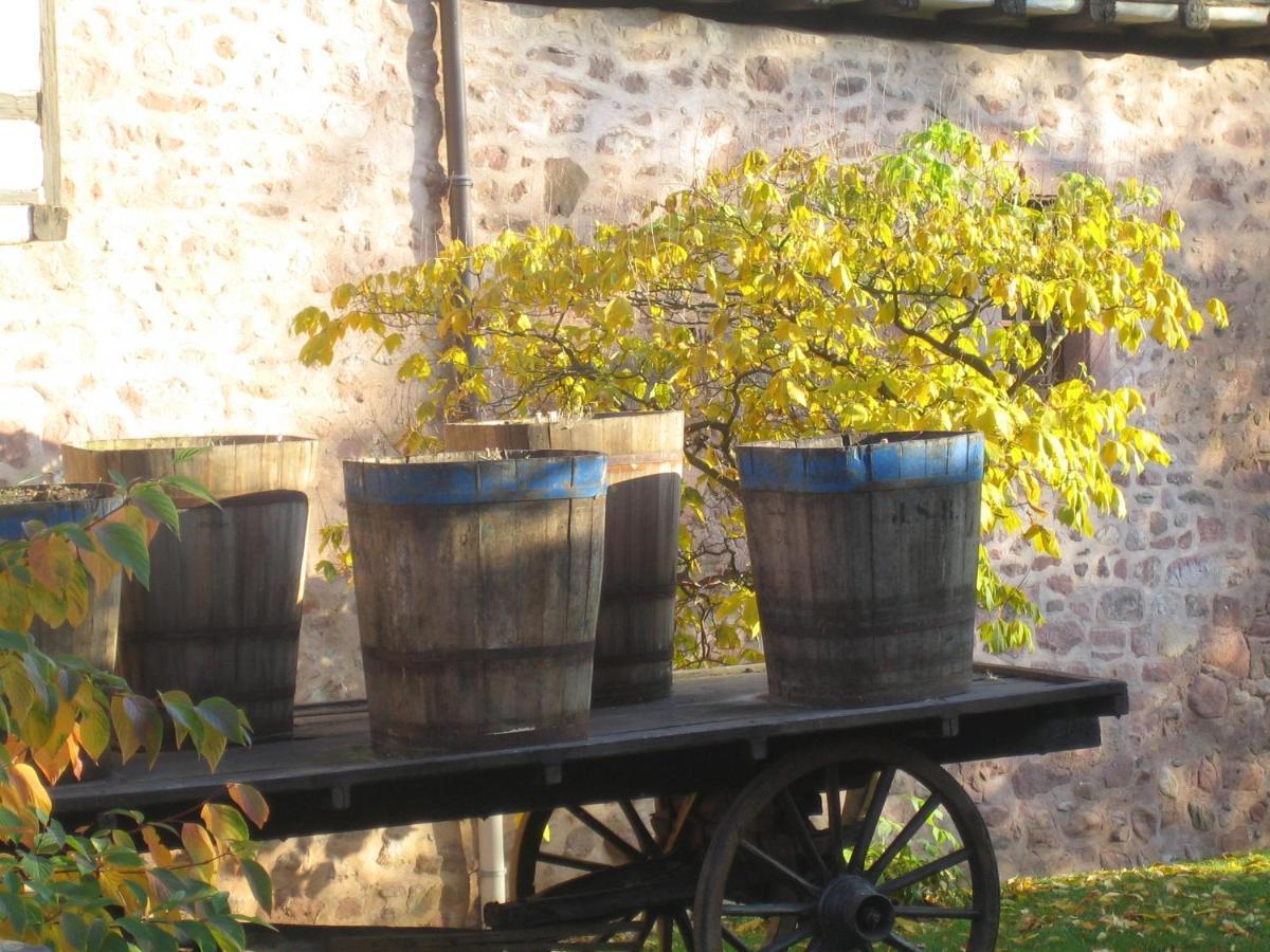 Les Hortensias Sainte-Marie-aux-Mines Bagian luar foto