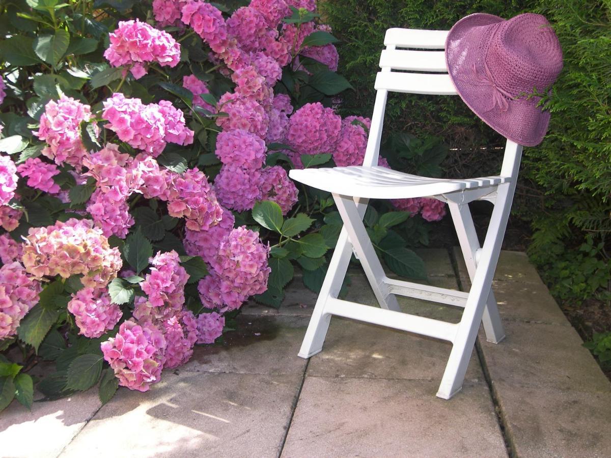 Les Hortensias Sainte-Marie-aux-Mines Bagian luar foto