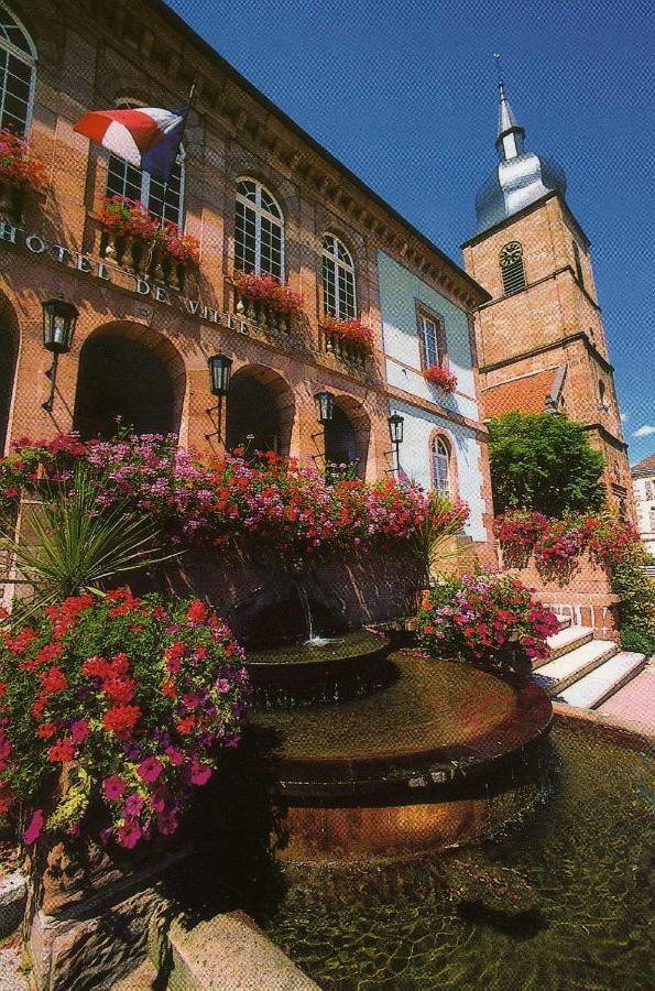 Les Hortensias Sainte-Marie-aux-Mines Bagian luar foto